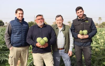 Frutas y Hortalizas Mas Serrano recibe el Premio Agricultor del año de Elche por su carácter exportador y fomentar el relevo generacional