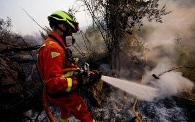 ASAJA Alicante manifiesta que el incendio se propagó por el abandono de la actividad agraria
